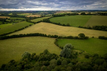 Biodiversité : ils veulent planter 750 000 kilomètres de haie pour faire renaître les bocages
