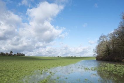 Décalage du début d’interdiction de la taille des haies agricoles