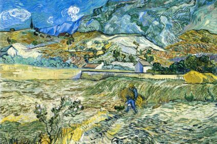 Les haies de la discorde : comment (mieux) protéger la nature ?